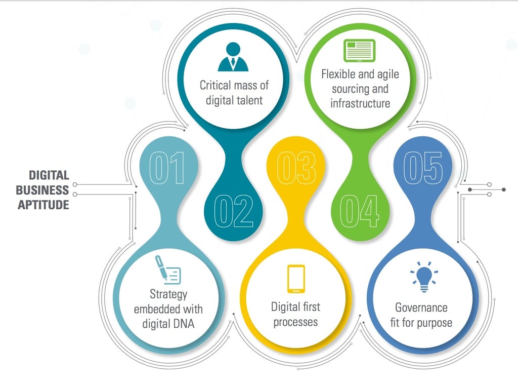 IDG graph - KPMG five domains for digital business aptitude.jpg