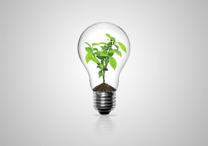 Bulb containing a plant with ideas